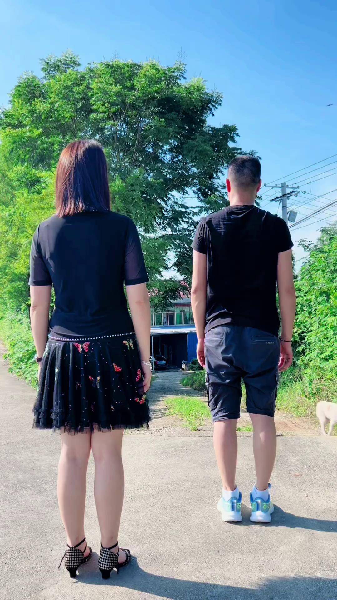 详细阅读:舞蹈夫妻(舞蹈夫妻哨的主题思想是什么) 舞蹈夫妻(舞蹈夫妻哨的主题思想是什么)